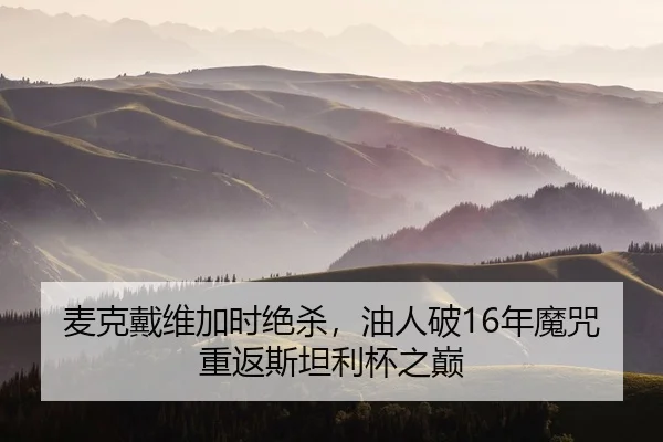 mai-ke-dai-wei-jia-shi-jue-sha-you-ren-po-nian-mo-zhou-chong-fan-si-tan-li-bei-zhi-dian-2-901.jpg